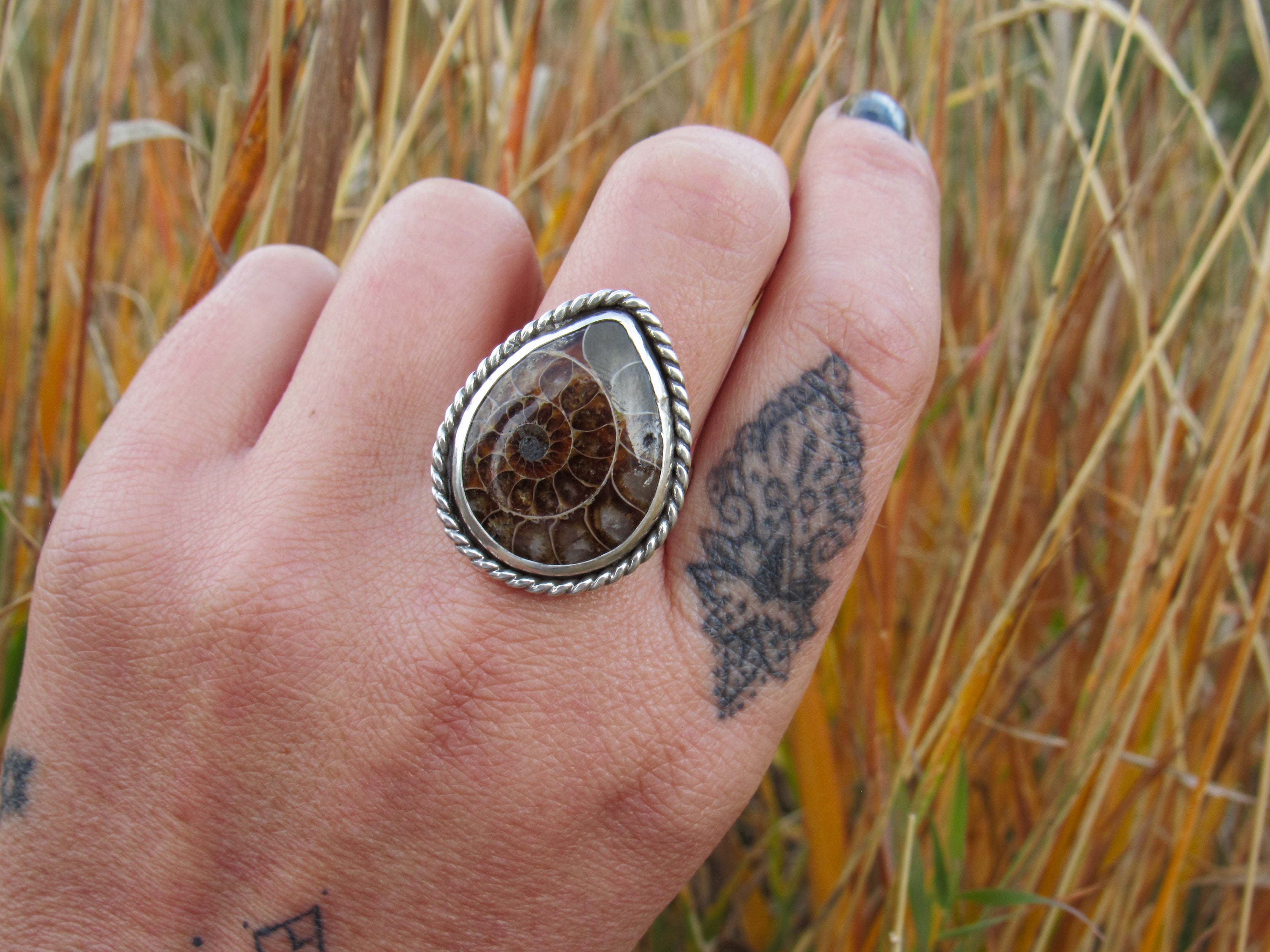 Fossilized Ammonite Ring - Size 8