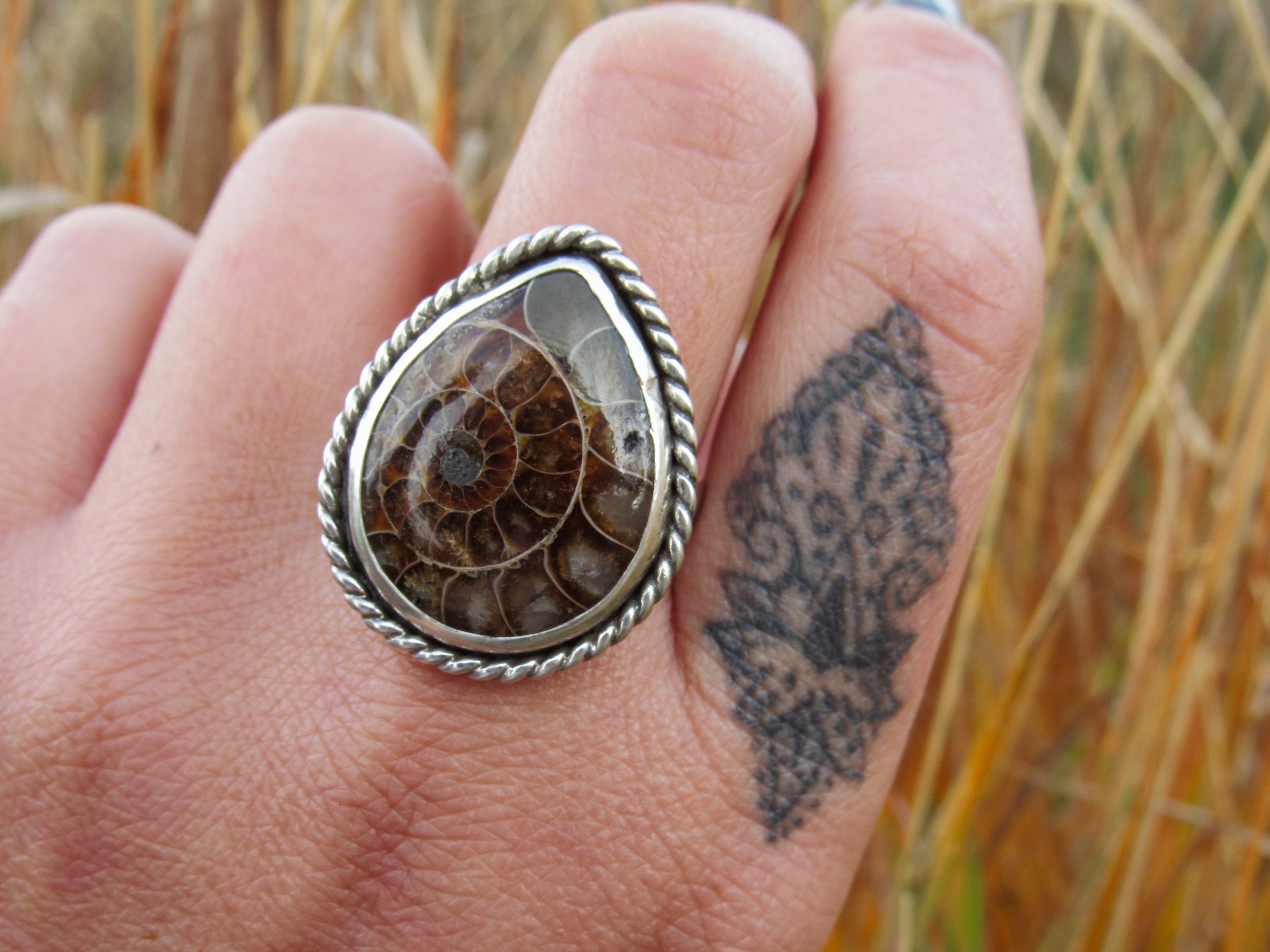 Fossilized Ammonite Ring - Size 8