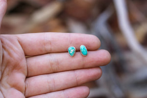 Sonoran Gold Turquoise Studs